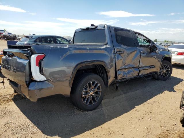 5TFNA5DB7PX097744 - 2023 TOYOTA TUNDRA CREWMAX PLATINUM GRAY photo 3