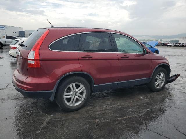 JHLRE4H78AC013583 - 2010 HONDA CR-V EXL MAROON photo 3