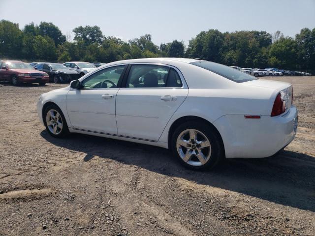 1G1ZH57N994219486 - 2009 CHEVROLET MALIBU 1LT WHITE photo 2