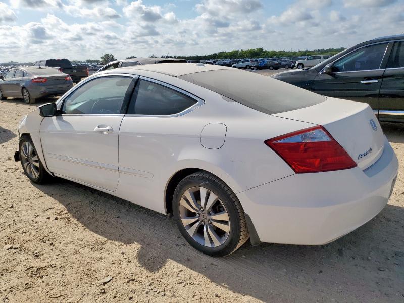 1HGCS12829A012806 - 2009 HONDA ACCORD EXL WHITE photo 2