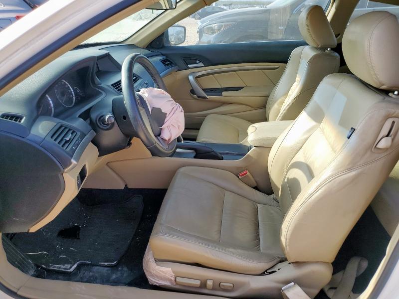 1HGCS12829A012806 - 2009 HONDA ACCORD EXL WHITE photo 7