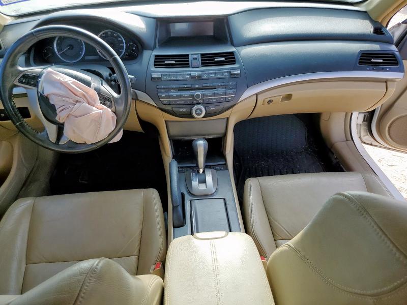 1HGCS12829A012806 - 2009 HONDA ACCORD EXL WHITE photo 8