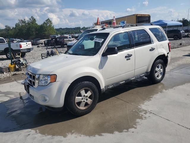 2012 FORD ESCAPE XLT, 