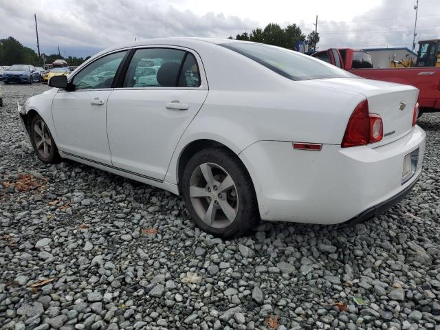 1G1ZC5E16BF363389 - 2011 CHEVROLET MALIBU 1LT WHITE photo 2