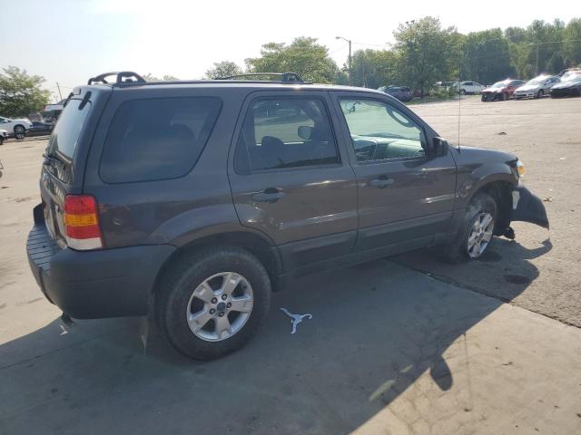 1FMYU03156KD02131 - 2006 FORD ESCAPE XLT Сұр фото 3