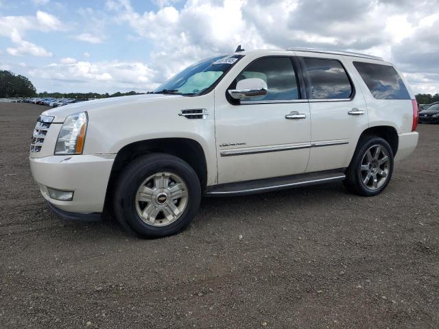 2010 CADILLAC ESCALADE LUXURY, 