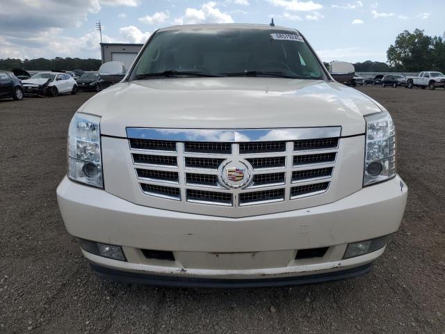 1GYUKBEF4AR121691 - 2010 CADILLAC ESCALADE LUXURY Белый фото 5