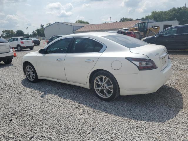 1N4AA5AP4DC811563 - 2013 NISSAN MAXIMA S WHITE photo 2