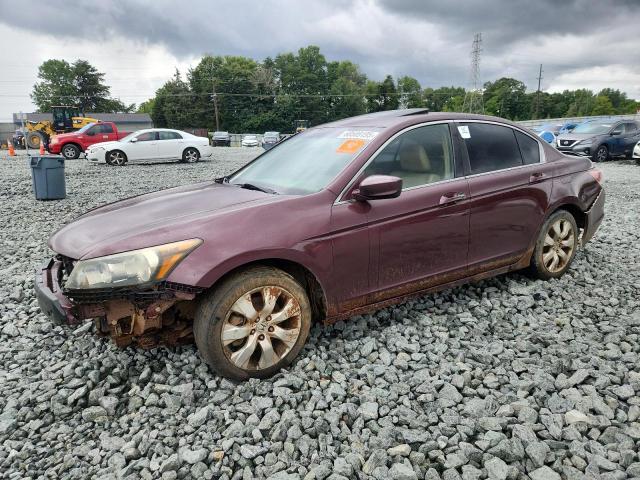 2008 HONDA ACCORD EXL, null