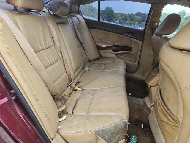 1HGCP26808A079341 - 2008 HONDA ACCORD EXL BURGUNDY photo 10