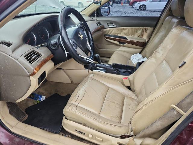 1HGCP26808A079341 - 2008 HONDA ACCORD EXL BURGUNDY photo 7