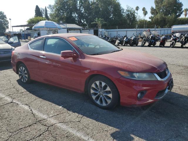 1HGCT1B82DA018174 - 2013 HONDA ACCORD EXL 红色 照片 4