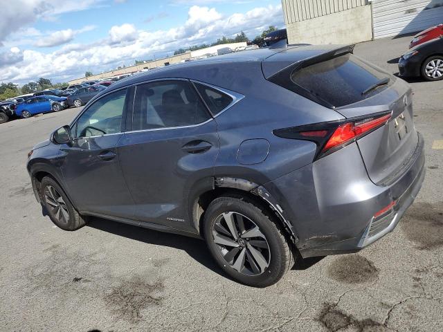 JTJBJRBZ7K2124924 - 2019 LEXUS NX 300H GRAY photo 2