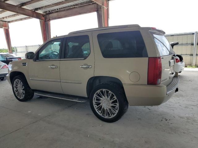1GYFK63877R160837 - 2007 CADILLAC ESCALADE LUXURY Bej fotoğraf 2