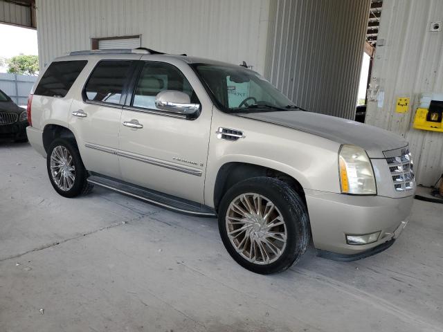1GYFK63877R160837 - 2007 CADILLAC ESCALADE LUXURY Bej fotoğraf 4