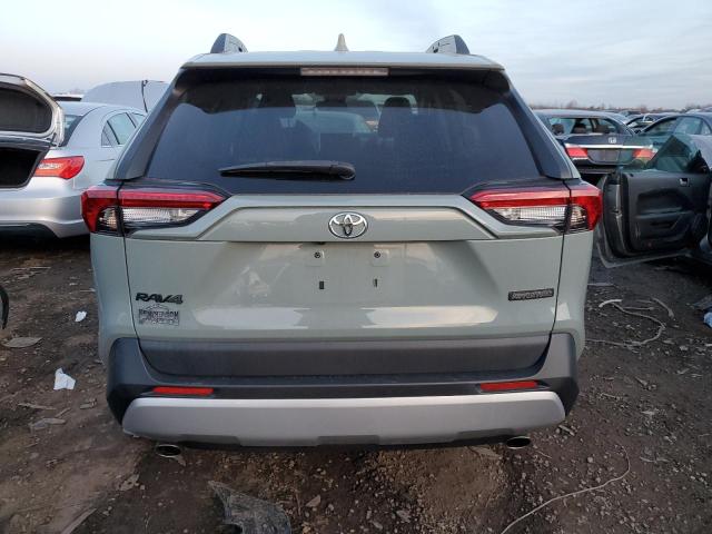 2T3J1RFV0KW026699 - 2019 TOYOTA RAV4 ADVENTURE GRAY photo 6