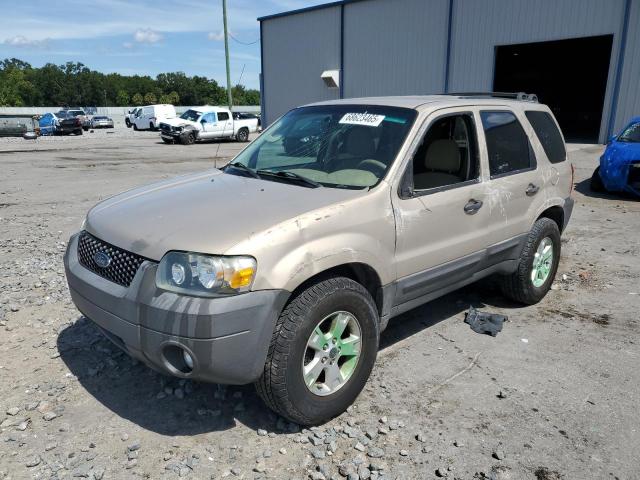 2007 FORD ESCAPE XLT, 