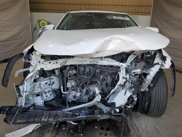 2T3G1RFVXPC363822 - 2023 TOYOTA RAV4 LE Blanc photo 5