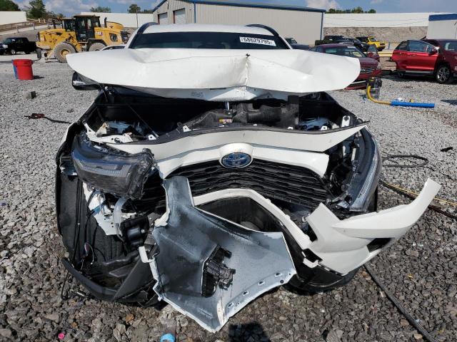 JTMRWRFV5RD262647 - 2024 TOYOTA RAV4 XLE 白色 照片 5