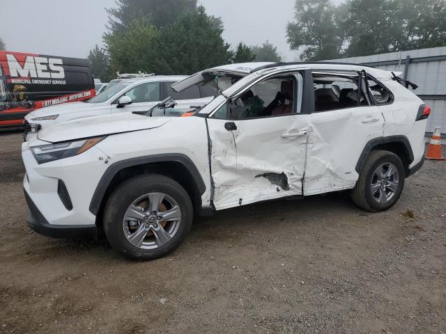 2024 TOYOTA RAV4 LE, 