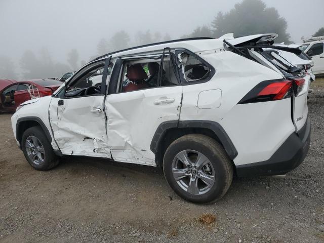 2T3MWRFV4RW210925 - 2024 TOYOTA RAV4 LE Ақ фото 2