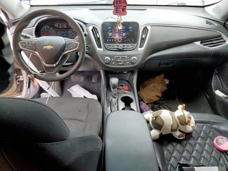 1G1ZB5ST9PF124709 - 2023 CHEVROLET MALIBU LS Beige photo 8