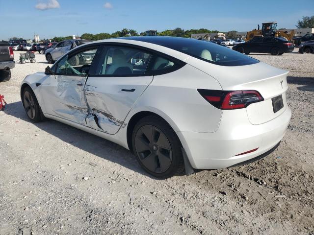 5YJ3E1EA8PF568627 - 2023 TESLA MODEL 3 Ağ foto 2