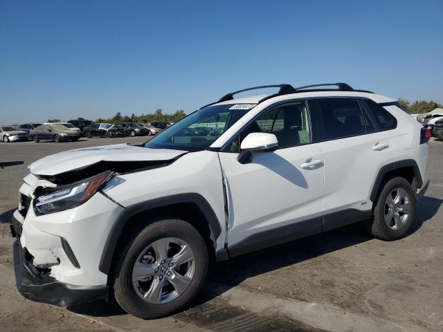 2024 TOYOTA RAV4 LE, 