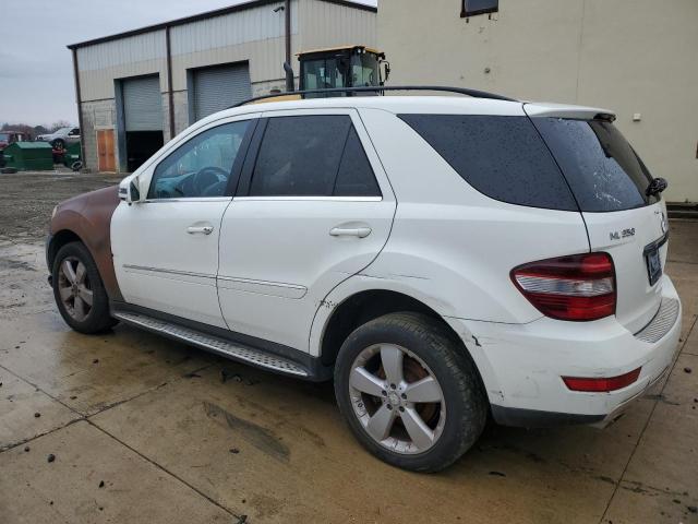 4JGBB8GB4BA654680 - 2011 MERCEDES-BENZ ML 350 4MATIC WHITE photo 2