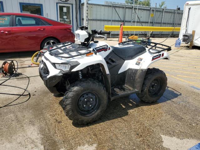 RGSWR32A2SB100489 - 2025 KAWASAKI BRUTE FORCE 450 A WHITE photo 2