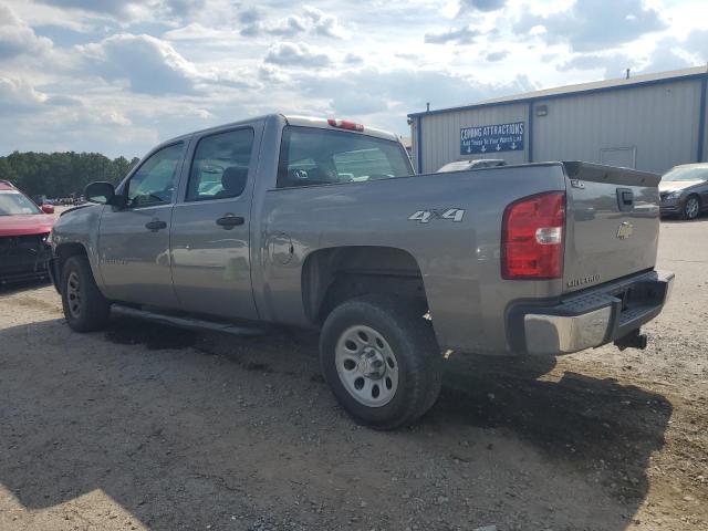 2GCEK13M971698496 - 2007 CHEVROLET silverado K1500 CREW CAB GRAY photo 2