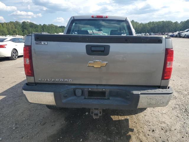 2GCEK13M971698496 - 2007 CHEVROLET silverado K1500 CREW CAB GRAY photo 6