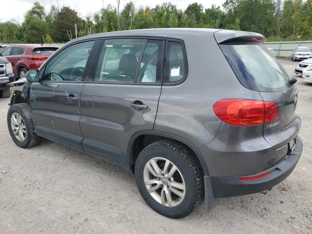 WVGBV3AX9DW593900 - 2013 VOLKSWAGEN TIGUAN S GRAY photo 2