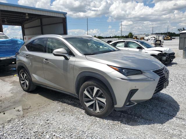 JTJBARBZ8K2204510 - 2019 LEXUS NX 300 BASE Сұр фото 4
