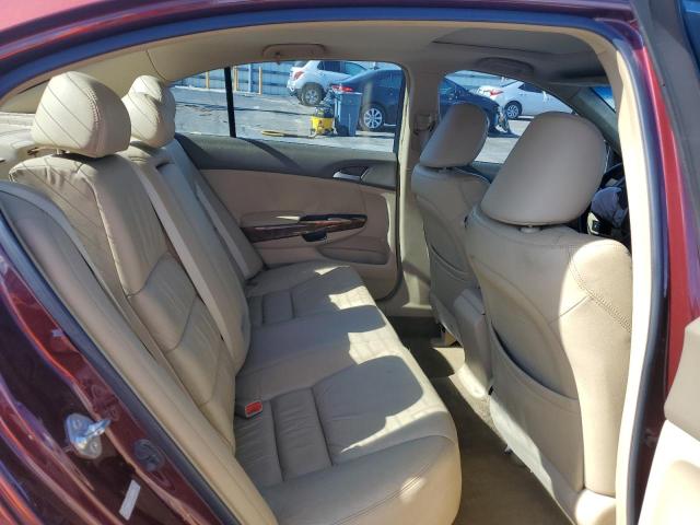 1HGCP26829A136270 - 2009 HONDA ACCORD EXL BURGUNDY photo 10