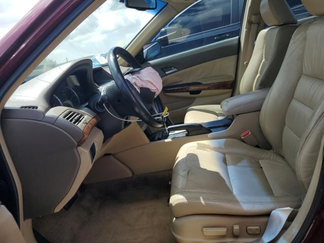 1HGCP26829A136270 - 2009 HONDA ACCORD EXL BURGUNDY photo 7