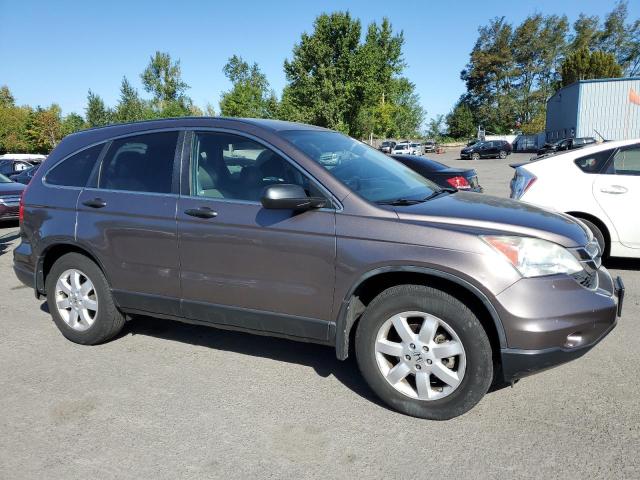 5J6RE4H41BL012855 - 2011 HONDA CR-V SE BROWN photo 4