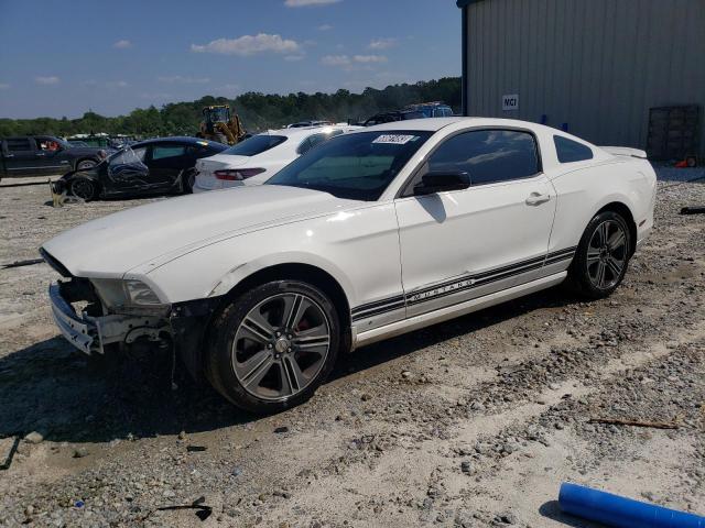 1ZVBP8AM0D5253930 - 2013 FORD MUSTANG WHITE photo 1