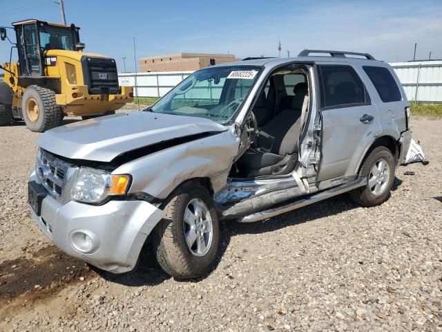 2009 FORD ESCAPE XLT, 
