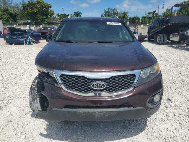 5XYKU4A26DG391286 - 2013 KIA SORENTO EX BURGUNDY photo 5