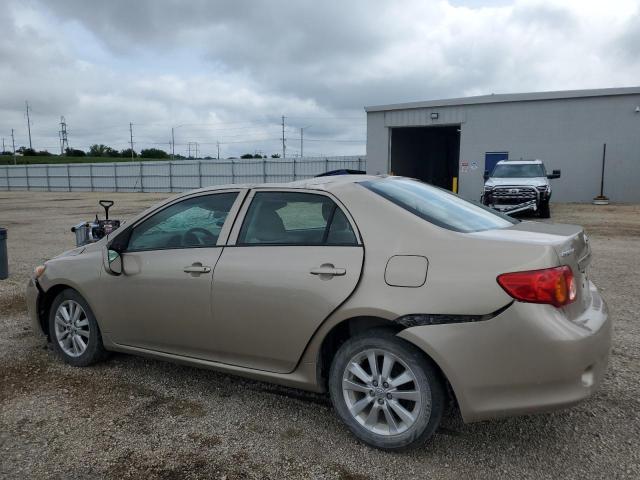 2T1BU40E09C051744 - 2009 TOYOTA COROLLA BASE GOLD photo 2