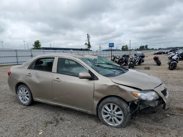 2T1BU40E09C051744 - 2009 TOYOTA COROLLA BASE GOLD photo 4