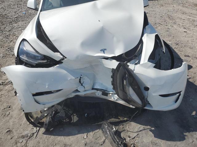 7SAYGAEE0SF221887 - 2025 TESLA MODEL Y 白色 照片 11