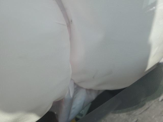 7SAYGAEE0SF221887 - 2025 TESLA MODEL Y 白色 照片 8