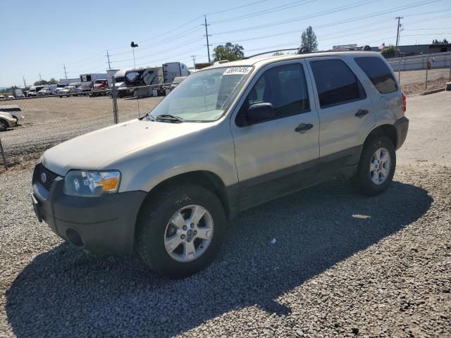 2005 FORD ESCAPE XLT, 