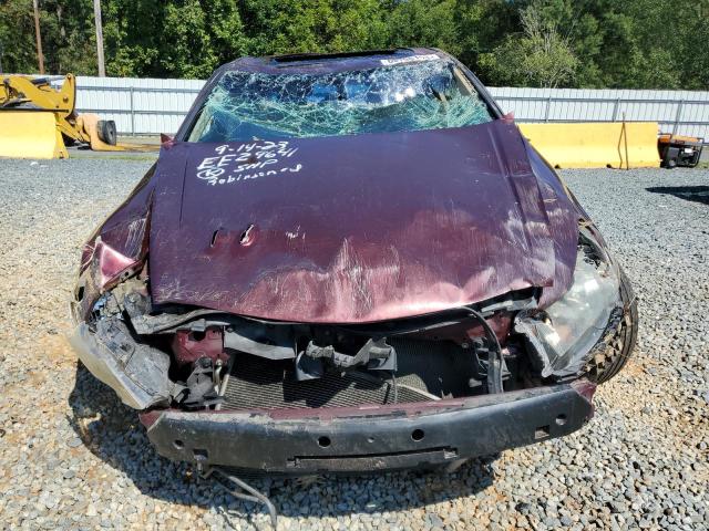 1HGCP2F83BA038970 - 2011 HONDA ACCORD EXL BURGUNDY photo 5