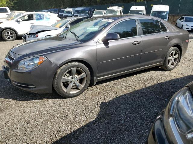 1G1ZC5E19BF126329 - 2011 CHEVROLET MALIBU 1LT 灰色 照片 1