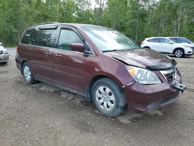 5FNRL38418B502942 - 2008 HONDA ODYSSEY EX Bordo foto 4