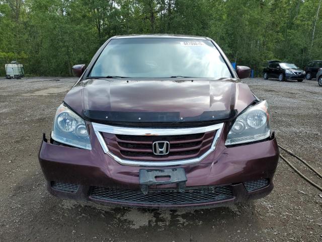 5FNRL38418B502942 - 2008 HONDA ODYSSEY EX Bordo foto 5