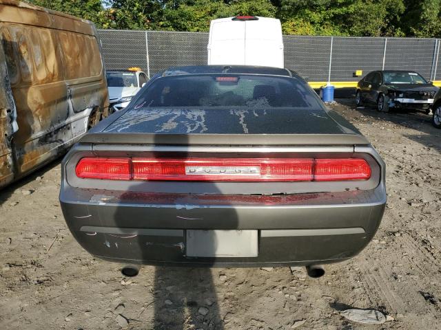 2B3CJ4DV3AH113981 - 2010 DODGE CHALLENGER SE GRAY photo 6